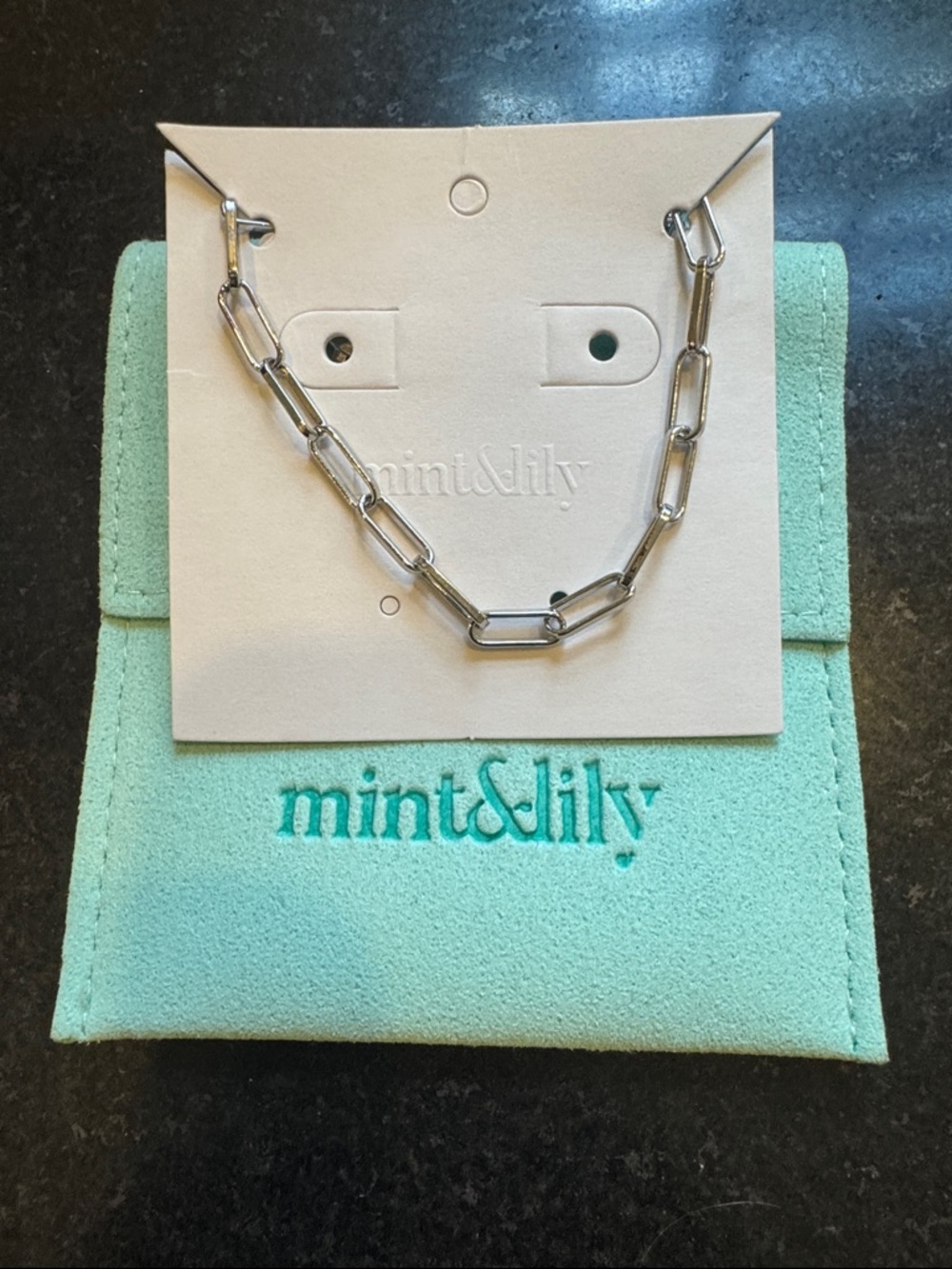 Silver Paperclip Chain Necklace - Silver
